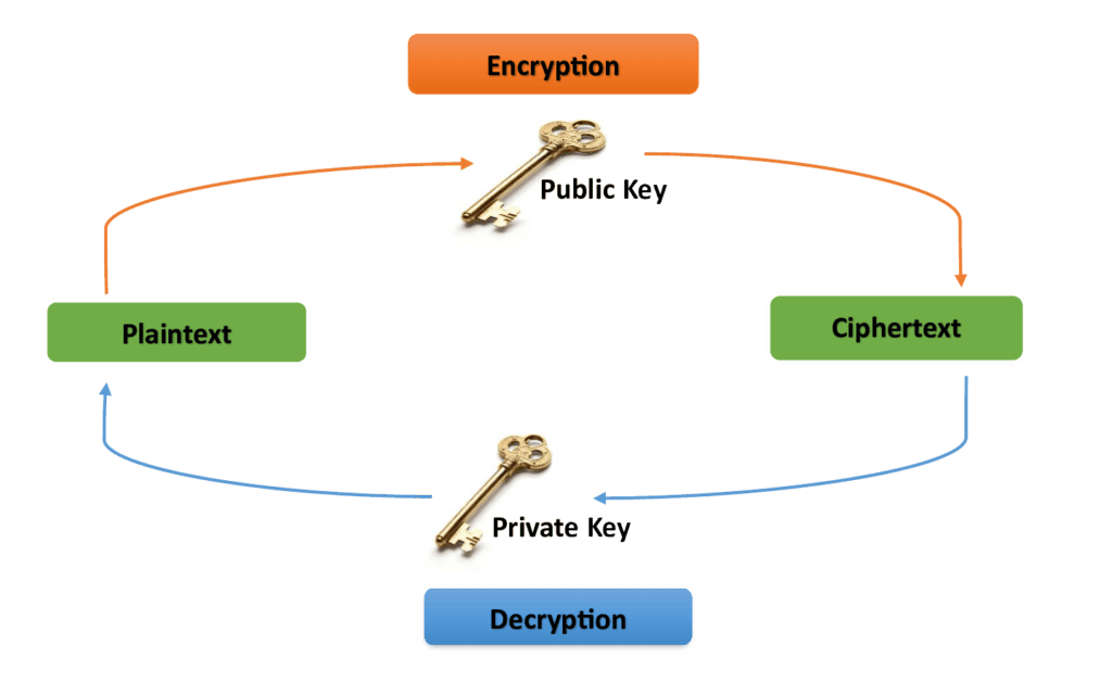 Keys in the RSA algorithm.