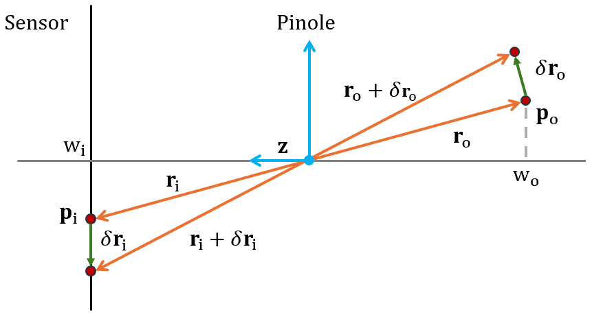 point motion and motion field