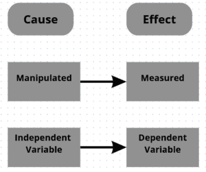 independent and dependent variable 
