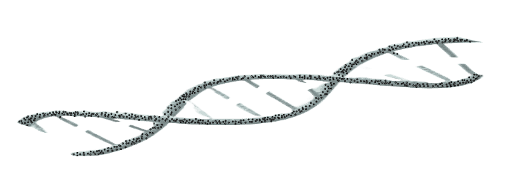 image showing DNA