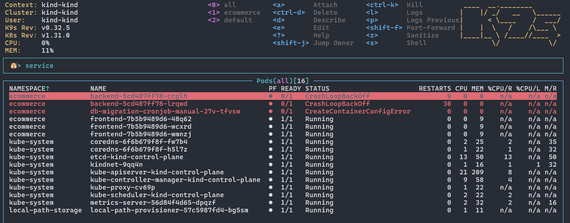 navigating to the service resource in the command mode